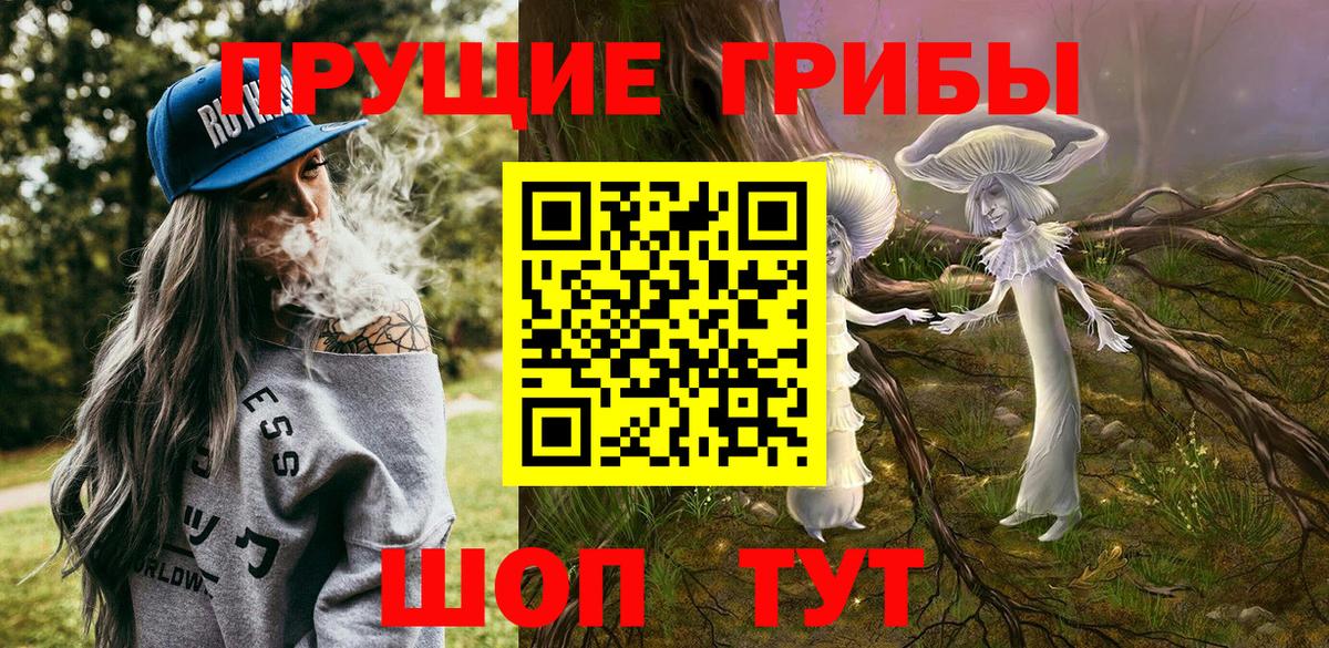 Псилоцибиновые грибы Magic Shrooms  Галлюциногенные грибы Psilocybine cubensis  Грозный  Вход с VPN 